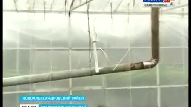 Семейных ферм на Ставрополье в этом году станет больше. смотреть онлайн