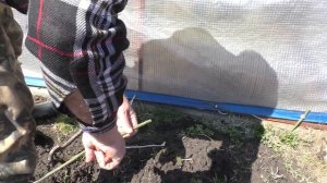 Дачные дела Как закрепить чехол на теплицу