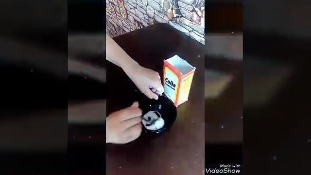 Как отбелить зубы в домашних условиях!!! смотреть онлайн