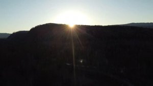 Песня "Журавли". Исполняет Зоя из группы "Ленинград"