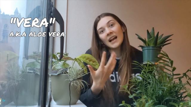 MY PLANT COLLECTION 2021 | AIR PURIFYING | SAFE FOR PETS | HOUSEPLANTS смотреть онлайн