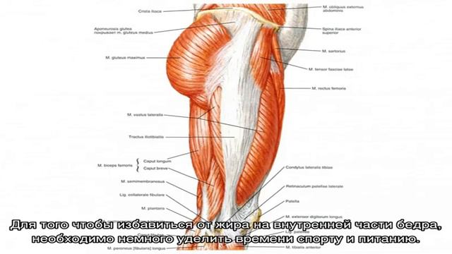 Как убрать жир с внутренней части бедра смотреть онлайн