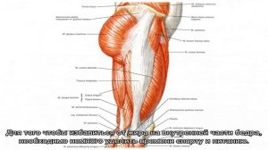 Как убрать жир с внутренней части бедра