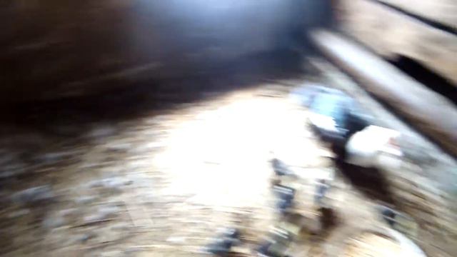 Птичник.Самойловка смотреть онлайн