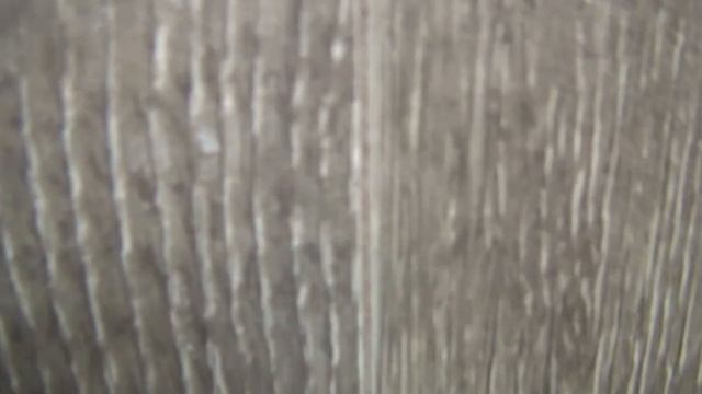 Ламинат alloc Original 1056 61 Дуб Анегада. Напольное покрытие повышенной износостойкости класс 34+ смотреть онлайн