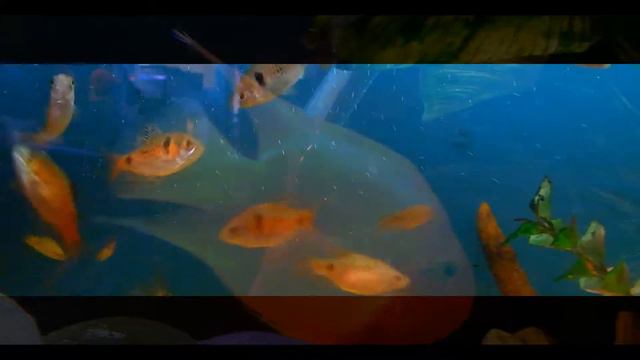 Важна лишь степень искренности |Only the degree of sincerity is important смотреть онлайн