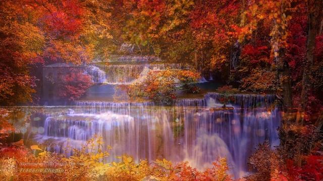 Nocturne in E flat major, Op. 9 no. 2 - Frédéric Chopin ~ | [Relaxing Pure Music] смотреть онлайн