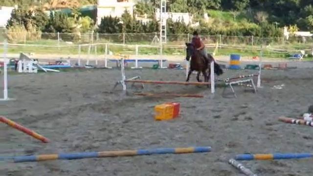 Bad Jumping Horse & Bad Rider Jumping!! смотреть онлайн