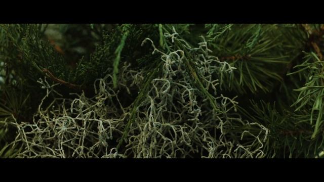 Canon EOS M 10-bit Magic Lantern RAW video test смотреть онлайн