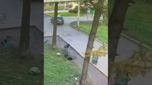 Почему нельзя ходить по люкам