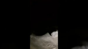 как снять поддон на рено меган сценик 1.5 дизель 106 л.с. 2008 год