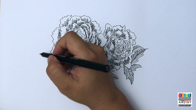 Learn how to draw peony, simple drawing ideas for you to try! смотреть онлайн