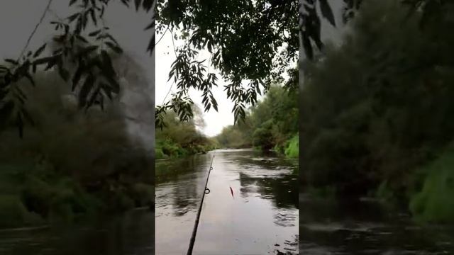 Сплав на лодках по реке Нара. Рыбалка. Трофейная щука. Выходные удались. смотреть онлайн