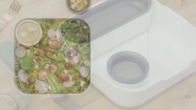 Ланч-бокс Original Black+Blum