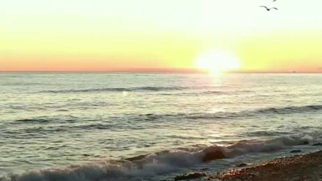 Закат солнца на берегу Черного моря 🌅 👍💖 смотреть онлайн