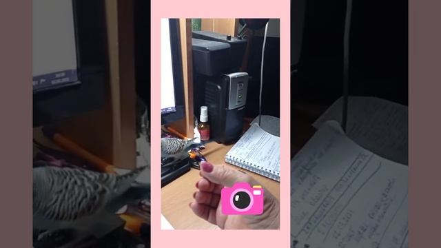 Целуйте руки женщинам всегда. смотреть онлайн