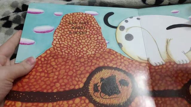 Где живёт птичка от Клевер смотреть онлайн