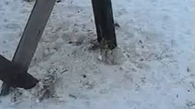 Ржевское охотхозяйство. Биотехнические мероприятия. смотреть онлайн