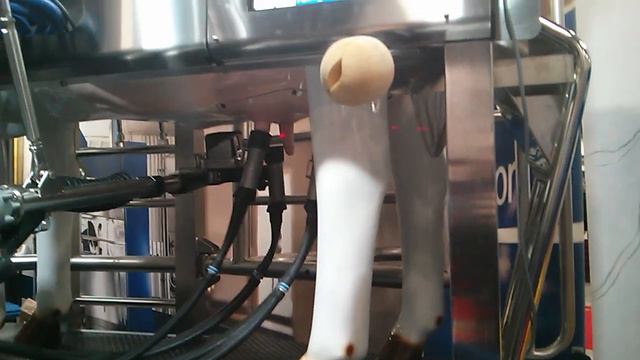 Delaval Automatic milker - demo смотреть онлайн