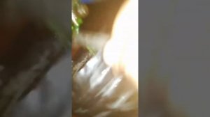 Конец компрессора Вольво фш-12, д12а