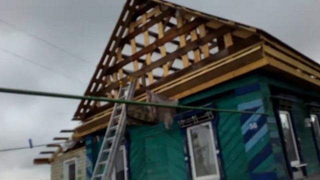 Полицаи сегодня вели себя хорошо. смотреть онлайн