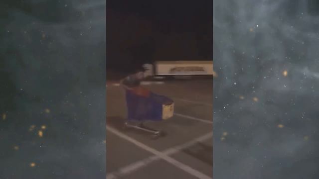 [кеХто приколы] Люто обиженный кот | Подборка приколов октябрь 2017 смотреть онлайн