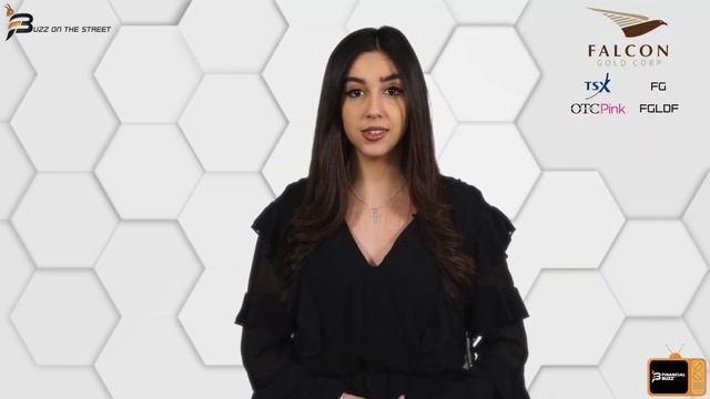 “Buzz on the Street” Show: Falcon Gold (OTC: FGLDF) (TSX-V: FG) Central Canada Drill Program Report смотреть онлайн
