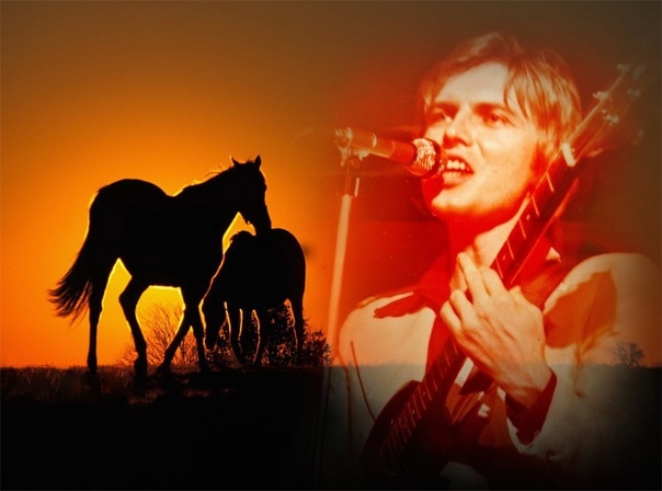 Красный конь (В. Дьяконов) разбор на гармони №-175 с цифрами смотреть онлайн