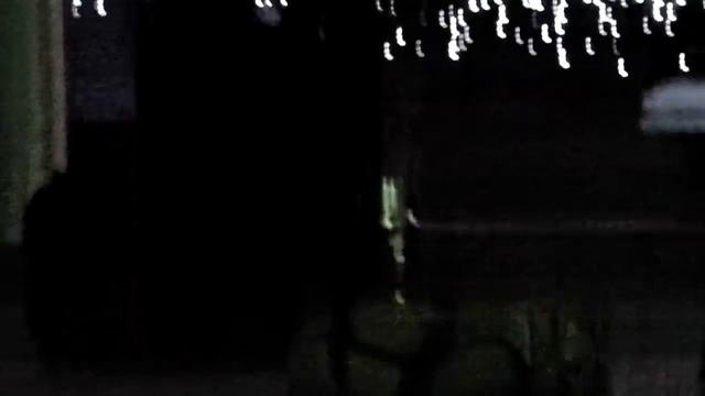ЯЛТИНСКИЙ РОЗЕНБАУМ смотреть онлайн