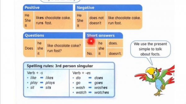 present simple 3 класс