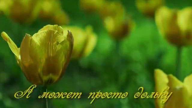 Видеопожелание на 8 марта смотреть онлайн