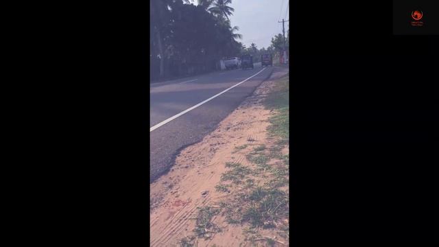 Crazy Ride / Suddi / Honda CBR 1000RR смотреть онлайн