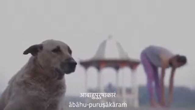 Invocation mantra in Ashtanga Yoga. India, Mysore. Традиционная мантра перед практикой аштанга йоги смотреть онлайн