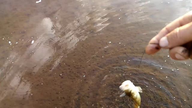 Закидушки. Проверка. смотреть онлайн