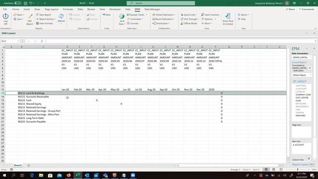 SAP BPC - How to Create an Input Template смотреть онлайн