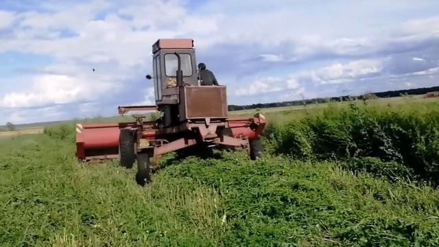 Бурьянокос на самоходной косилке Е-303. смотреть онлайн
