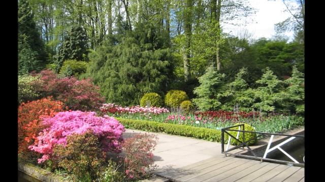 Keukenhof  -  красивейший парк цветов в Нидерландах