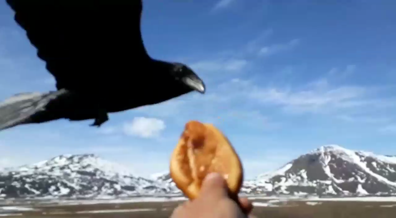 Ну-ка, дружок, дай пирожок! смотреть онлайн