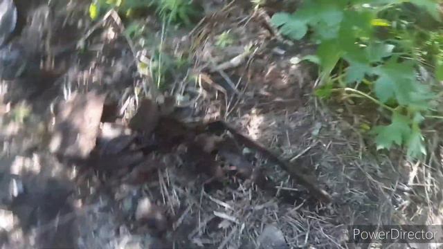 Коп 96 меди коп хороший результат коп 2022 #2+все +из +за металлокопа смотреть онлайн