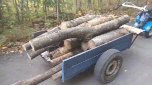 Снова за дровами. Решил побольше нагрузить прицеп с дровами. Мотоблок справился.