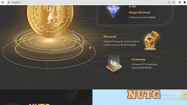 NUTGAIN AMAZING PROJECT смотреть онлайн