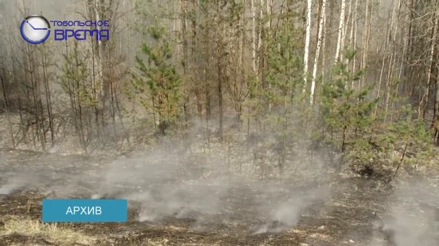 УСТАНОВЛЕН ПОЖАРООПАСНЫЙ СЕЗОН смотреть онлайн