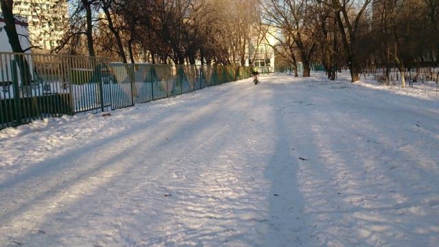 Покатушки на питбайке BSE 110 смотреть онлайн