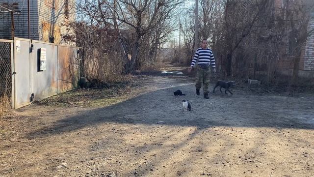 Кане-корсо 4 занятие / Команда ко мне / Будни тренировок / Дрессировка смотреть онлайн