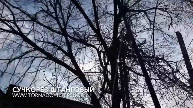 Сучкорез штанговый с пилой смотреть онлайн