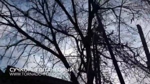 Сучкорез штанговый с пилой