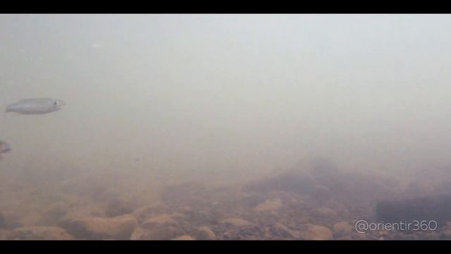 Подъем со дна неглубокой речки смотреть онлайн