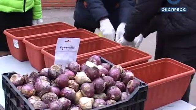 Кузнецкие школьники посадили цветы у храма Казанской иконы Божьей матери смотреть онлайн