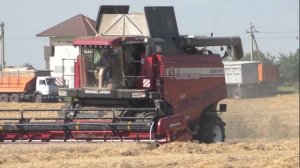 РАБОТА GOMSELMASH GS12A1 PRO/ PALESSE GS12, 2023