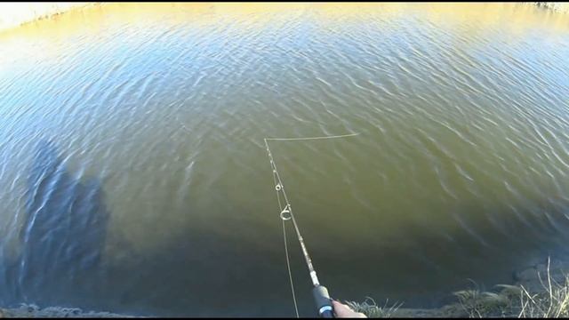 Fishing Жестокие игры )) Рыбалка 15 Марта 2015 Ростовская область - Щука смотреть онлайн